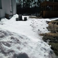 spring